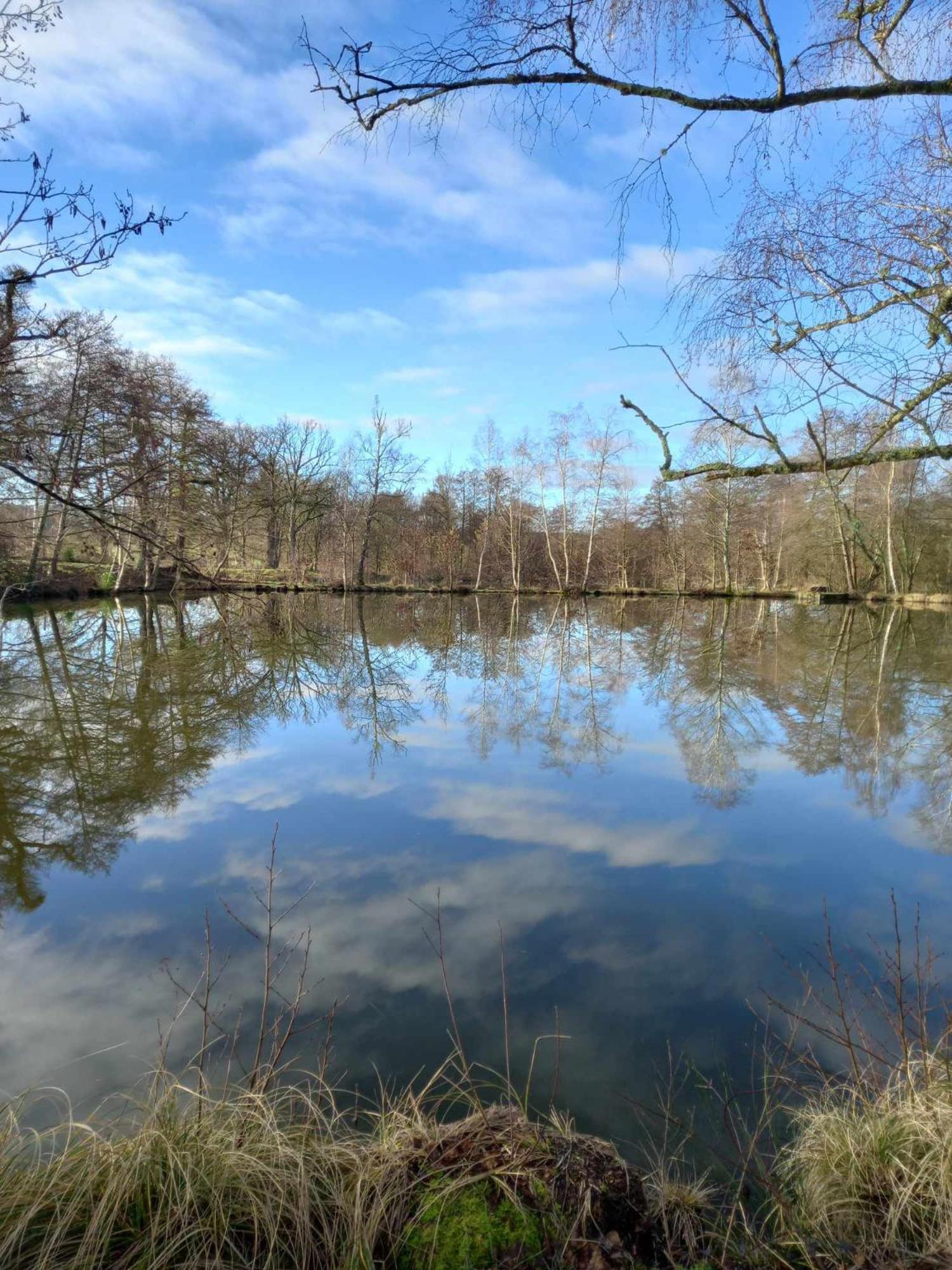 Le Chalet Limousin Folles Eksteriør billede
